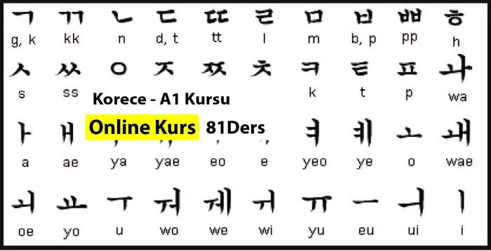 Korece Online A1 Kursu